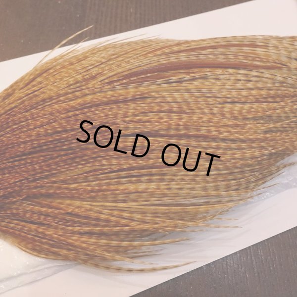 画像4: 【WHITING】High & Dry ROOSTER Cape - BARRED DARK GINGER No.1 (4)