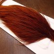 画像3: 【WHITING】High & Dry ROOSTER Cape - BROWN No.2 (3)