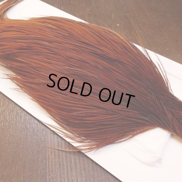 画像3: 【WHITING】High & Dry ROOSTER Cape - BROWN No.2 (3)