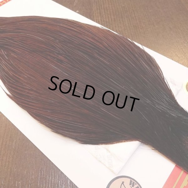 画像3: 【Whiting】ROOSTER CAPE Bronze Grade - DYED COACHMAN BROWN No.3 (3)