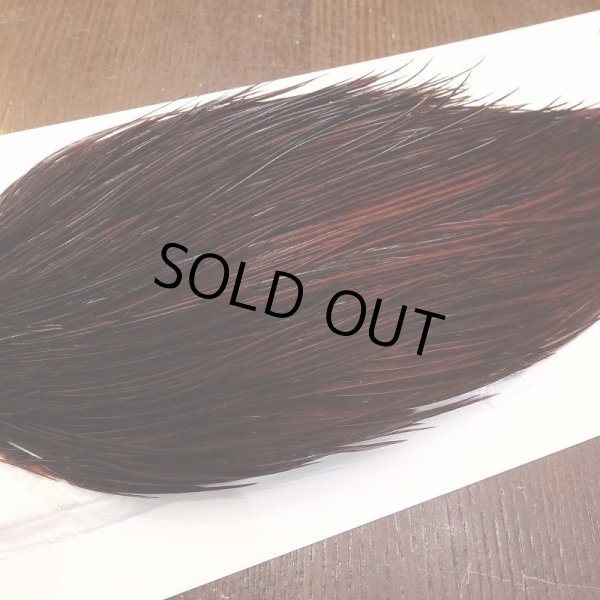 画像4: 【Whiting】ROOSTER CAPE Bronze Grade - DYED COACHMAN BROWN No.4 (4)