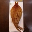 画像1: 【WHITING】High & Dry ROOSTER Cape - BARRED DARK GINGER No.1 (1)