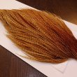 画像3: 【WHITING】High & Dry ROOSTER Cape - BARRED DARK GINGER No.1 (3)