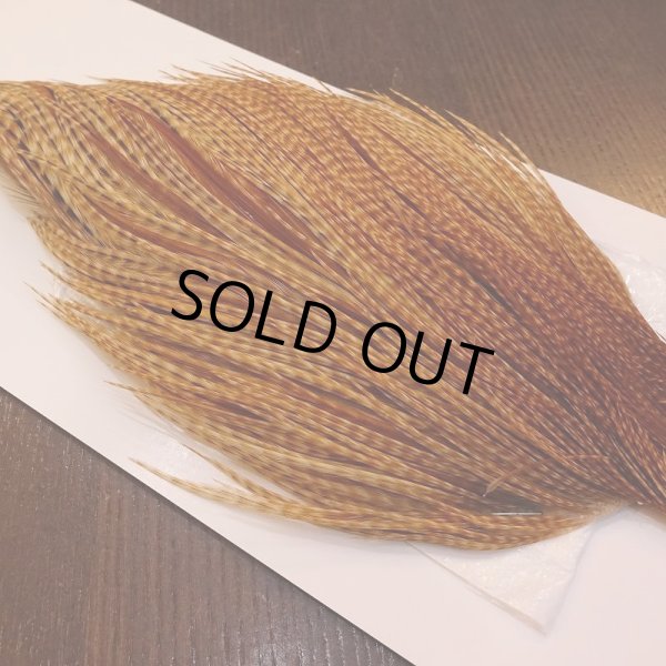 画像3: 【WHITING】High & Dry ROOSTER Cape - BARRED DARK GINGER No.1 (3)