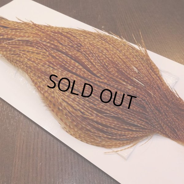 画像3: 【WHITING】High & Dry ROOSTER Cape - BARRED DARK GINGER No.2 (3)