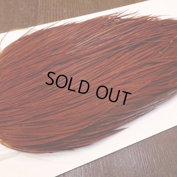 画像4: 【WHITING】High & Dry ROOSTER Cape - BROWN No.1 (4)