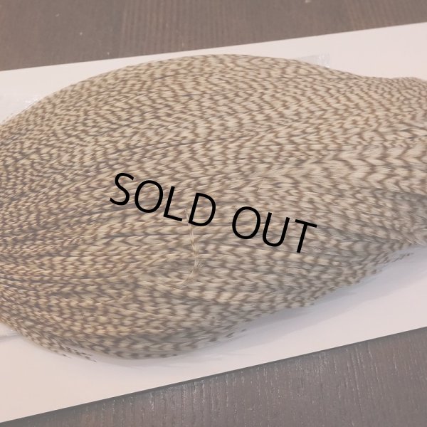 画像4: 【WHITING】High & Dry ROOSTER Cape - DUN GRIZZLY No.1 (4)