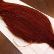 画像3: 【WHITING】High & Dry ROOSTER Cape - BROWN No.1 (3)