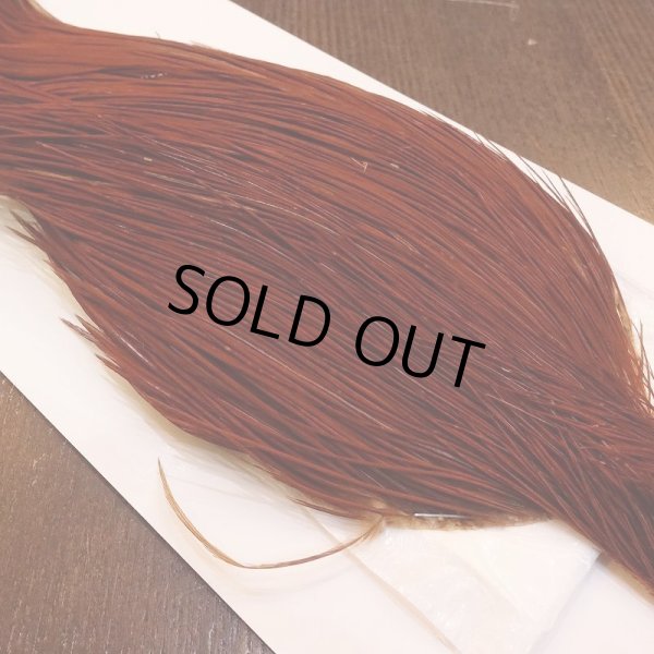 画像3: 【WHITING】High & Dry ROOSTER Cape - BROWN No.1 (3)