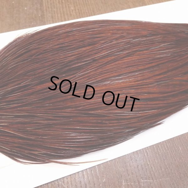 画像4: 【Whiting】ROOSTER CAPE Bronze Grade - DYED COACHMAN BROWN No.2 (4)