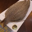 画像2: 【WHITING】High & Dry ROOSTER Cape - DUN GRIZZLY No.2 (2)