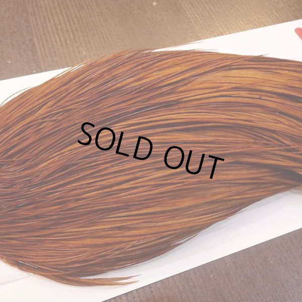 画像4: 【Whiting】ROOSTER CAPE Bronze Grade - DYED BROWN No.1 (4)