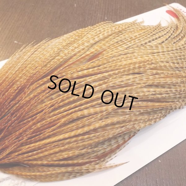 画像4: 【Whiting】ROOSTER CAPE PRO Grade - BARRED DK GINGER (4)