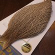 画像2: 【WHITING】High & Dry ROOSTER Cape - DUN GRIZZLY No.1 (2)