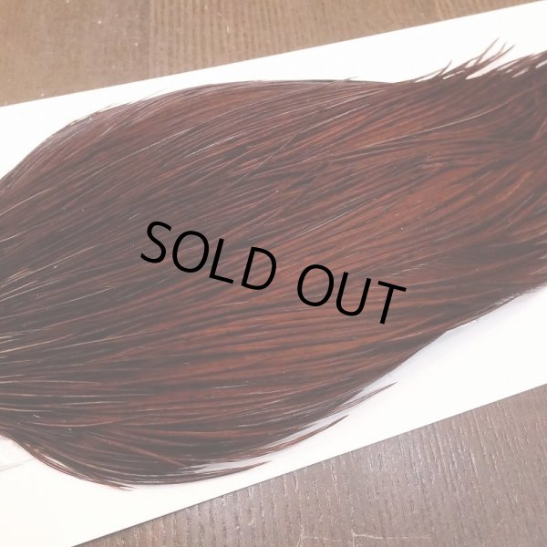 画像4: 【Whiting】ROOSTER CAPE Bronze Grade - DYED COACHMAN BROWN No.3 (4)