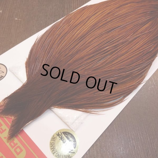 画像2: 【Whiting】ROOSTER CAPE Bronze Grade - DYED BROWN No.2 (2)