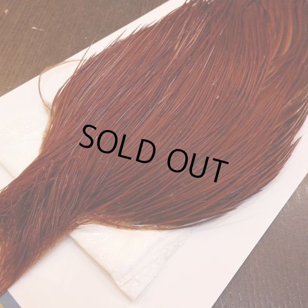 画像2: 【WHITING】High & Dry ROOSTER Cape - BROWN No.1 (2)