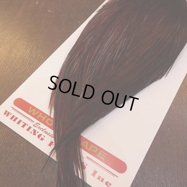 画像5: 【Whiting】ROOSTER CAPE Bronze Grade - DYED COACHMAN BROWN No.2 (5)