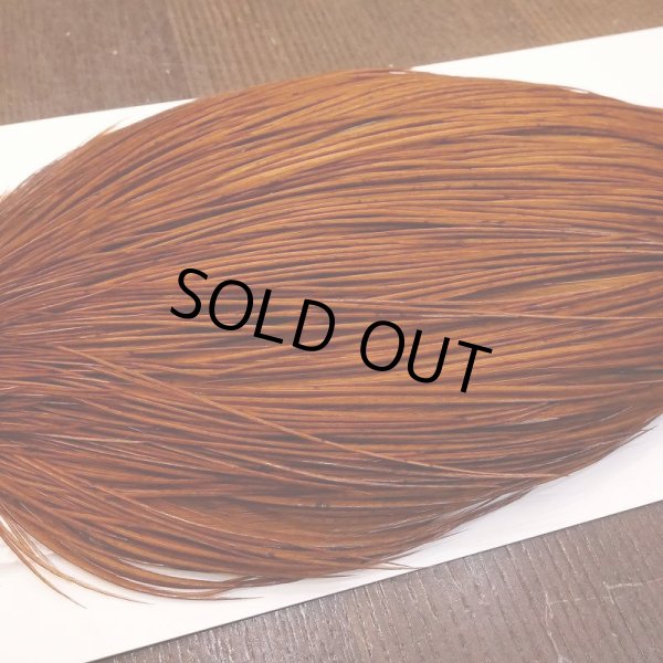 画像4: 【Whiting】ROOSTER CAPE Bronze Grade - DYED BROWN No.2 (4)