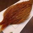 画像2: 【WHITING】High & Dry ROOSTER Cape - BARRED DARK GINGER No.2 (2)