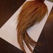 画像5: 【WHITING】High & Dry ROOSTER Cape - BARRED DARK GINGER No.1 (5)