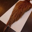 画像5: 【WHITING】High & Dry ROOSTER Cape - BARRED DARK GINGER No.2 (5)