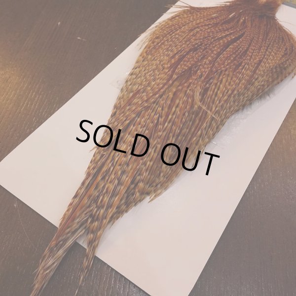 画像5: 【WHITING】High & Dry ROOSTER Cape - BARRED DARK GINGER No.2 (5)