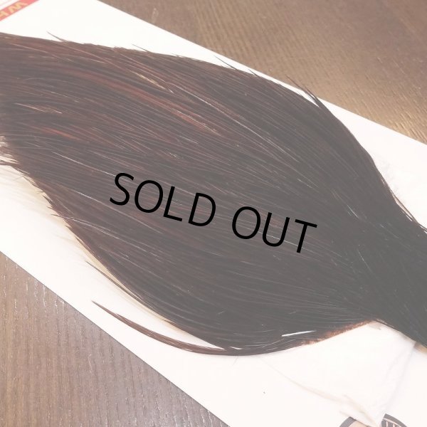 画像3: 【Whiting】ROOSTER CAPE Bronze Grade - DYED COACHMAN BROWN No.4 (3)