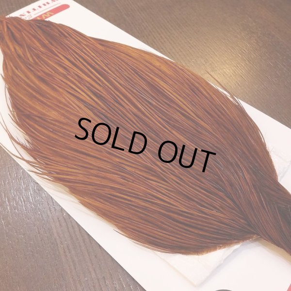 画像3: 【Whiting】ROOSTER CAPE Bronze Grade - DYED BROWN No.1 (3)