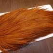 画像4: 【WHITING】High & Dry ROOSTER Cape - DYED BROWN No.2 (4)