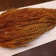 画像4: 【WHITING】High & Dry ROOSTER Cape - BARRED DARK GINGER No.2 (4)