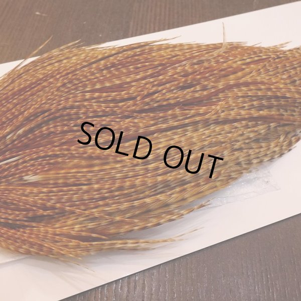 画像4: 【WHITING】High & Dry ROOSTER Cape - BARRED DARK GINGER No.2 (4)