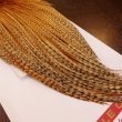 画像5: 【Whiting】ROOSTER CAPE PRO Grade - BARRED DK GINGER (5)