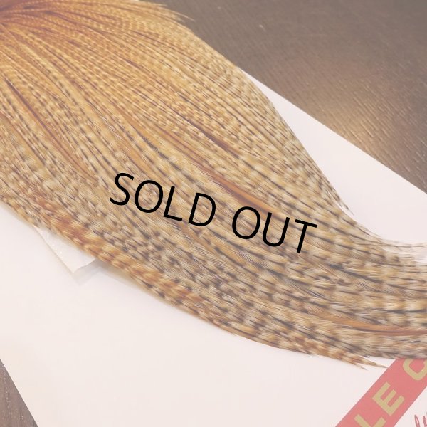 画像5: 【Whiting】ROOSTER CAPE PRO Grade - BARRED DK GINGER (5)