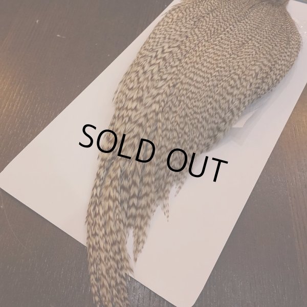 画像5: 【WHITING】High & Dry ROOSTER Cape - DUN GRIZZLY No.1 (5)