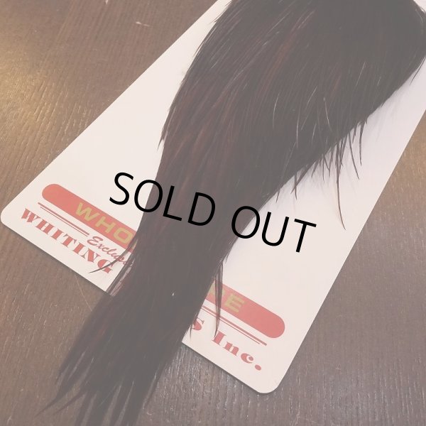 画像5: 【Whiting】ROOSTER CAPE Bronze Grade - DYED COACHMAN BROWN No.4 (5)