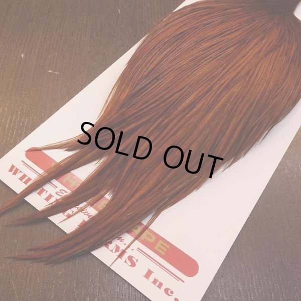 画像5: 【Whiting】ROOSTER CAPE Bronze Grade - DYED BROWN No.2 (5)