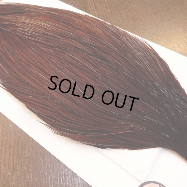 画像3: 【Whiting】ROOSTER CAPE Bronze Grade - DYED COACHMAN BROWN No.2 (3)