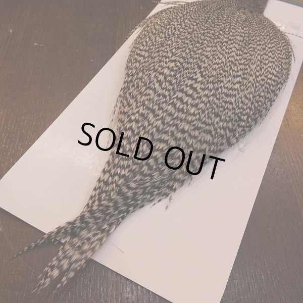 画像5: 【WHITING】High & Dry ROOSTER Cape - Grizzly No.2 (5)