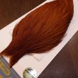 画像2: 【WHITING】High & Dry ROOSTER Cape - DYED BROWN No.1 (2)