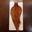 画像1: 【WHITING】High & Dry ROOSTER Cape - BARRED DARK GINGER No.2 (1)