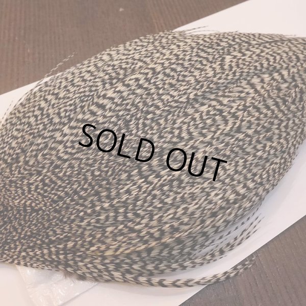 画像4: 【WHITING】High & Dry ROOSTER Cape - Grizzly No.2 (4)