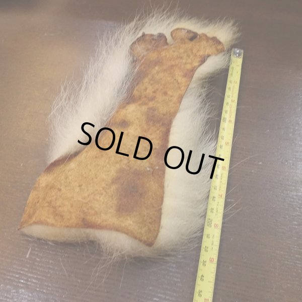 画像4: 【D】ポーラーベアー　ナチュラル　ラージカット 2 (4)