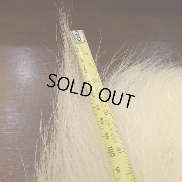 画像4: 【D】ポーラーベアー　ナチュラル　ラージカット 1 (4)