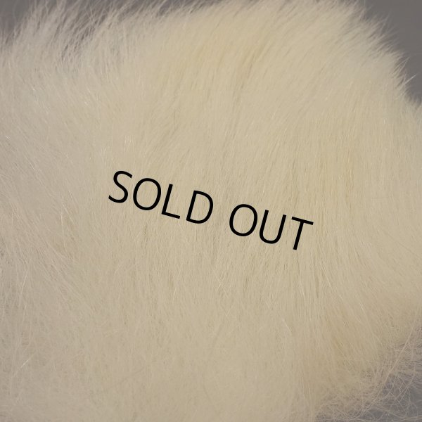 画像5: 【D】ポーラーベアー　ナチュラル　ラージカット 1 (5)