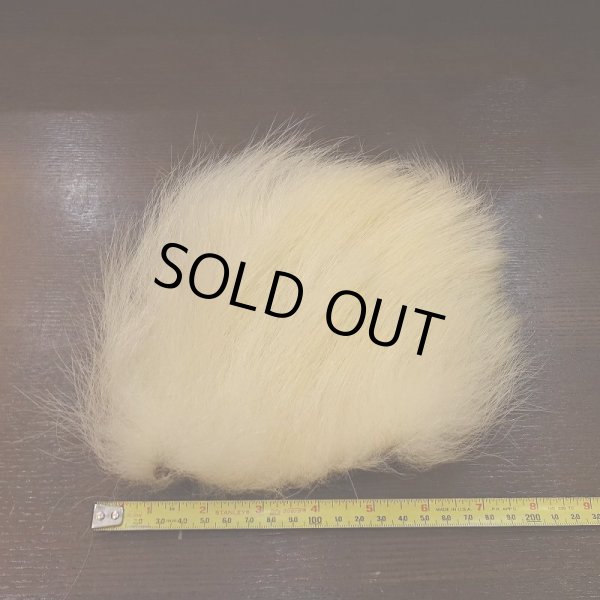 画像2: 【D】ポーラーベアー　ナチュラル　ラージカット 1 (2)