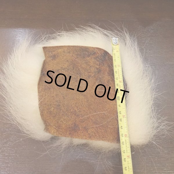 画像3: 【D】ポーラーベアー　ナチュラル　ラージカット 1 (3)