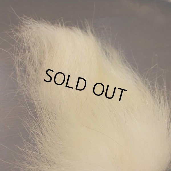 画像2: 【D】ポーラーベアー　ナチュラル　ラージカット 3 (2)