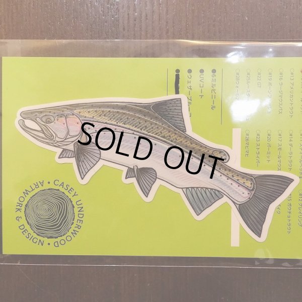 画像2: 【ケイシー・アンダーウッド】5"アートステッカー (2)