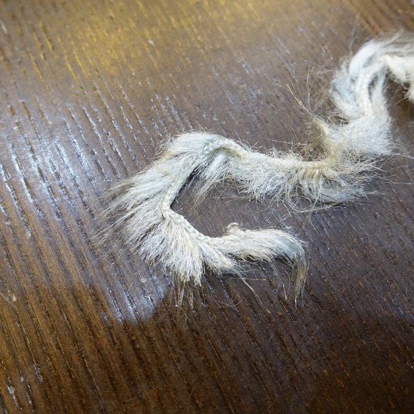 画像5: 【TORNADO】ウィッグルファーII (5)